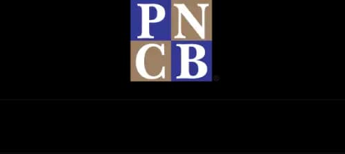 Pediatric Nursing Certification Board